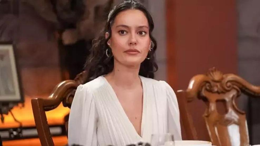 Pelin Akile kene şoku Hastanelik oldu Kolundan çıkarmaya çalışırken içeride parça kaldı