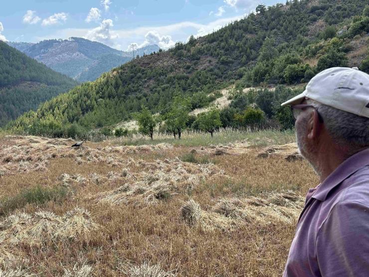 ‘Garip’ leylek, hasat zamanı yine geldi 15 yıldır çiftçilerin gönlünde taht kurdu: “Torunlarım gelmiş gibi mutlu oluyorum”