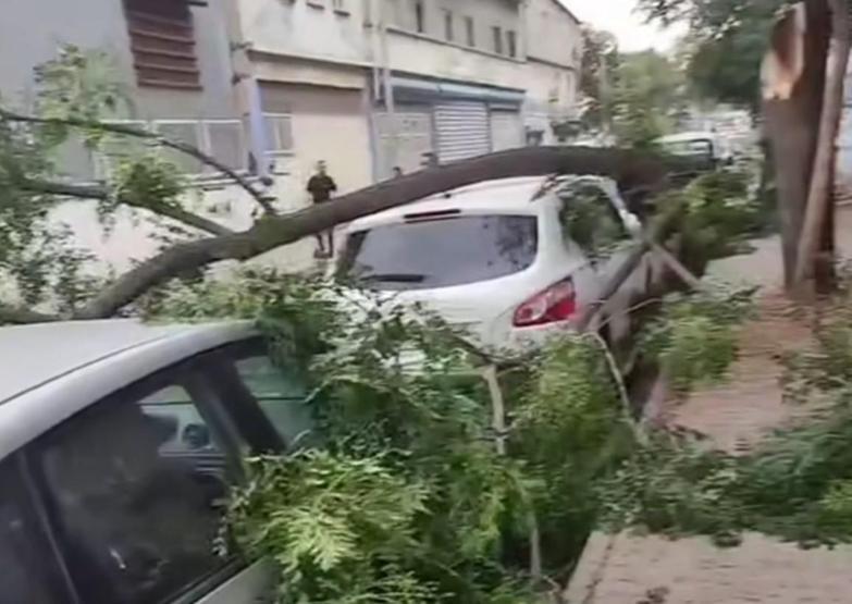 Gaziantepi Haziran ayında fırtına vurdu: Ağaçlar devrildi, toz bulutu şehri kapladı