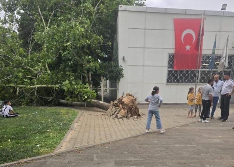 Gaziantepi Haziran ayında fırtına vurdu: Ağaçlar devrildi, toz bulutu şehri kapladı