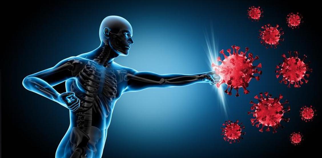 Antioksidan, vitamin ve mineral deposu Kabuğunu soyup çayın içine 1 parça ilave edin Kan şekerini düzenliyor, sindirimi destekliyor