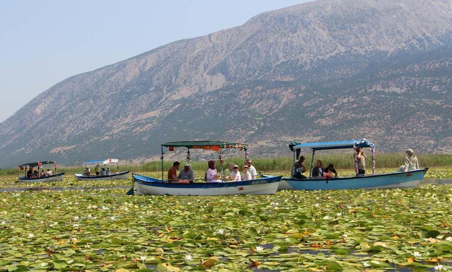 Denizliye Giden Uğramadan Dönmüyor Işıklı Gölü’nde Nilüfer Turizmi... Ziyaretçilerin İlgi Odağı Oldu
