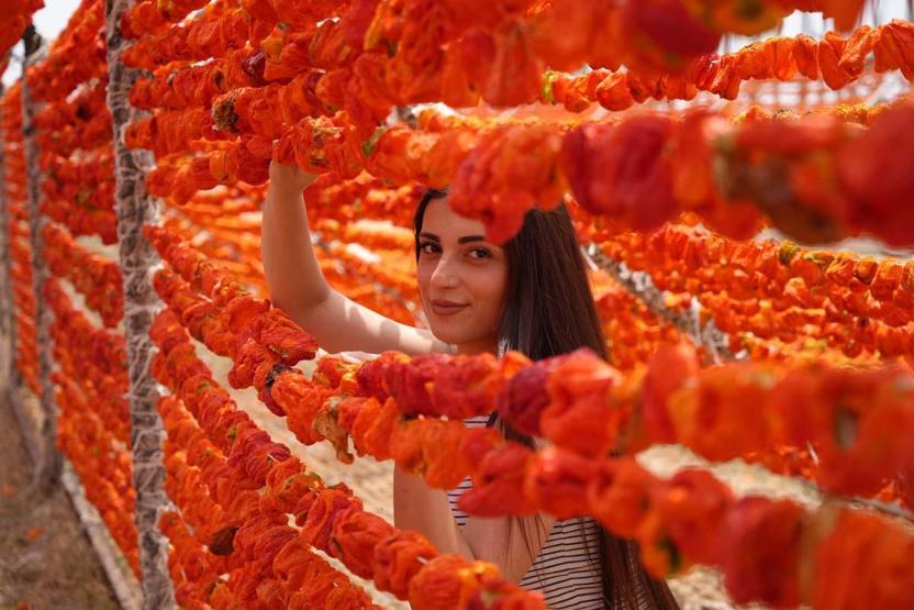 Binbir Emek ve Zahmetle Üretiliyor Geleneksel Yemeklerin Vazgeçilmezi... Sezon Başladı, Gaziantepin Yüksek Kesimleri Kırmızıya Büründü