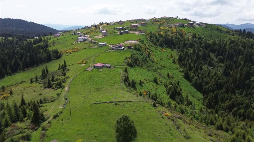 Karadeniz’de Asırlardır Yaşatılan Gelenek Türkülü, Manili Yayla Göçünden Renkli Görüntüler