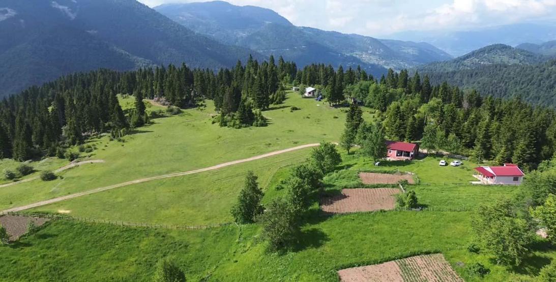 Karadeniz’de Asırlardır Yaşatılan Gelenek Türkülü, Manili Yayla Göçünden Renkli Görüntüler