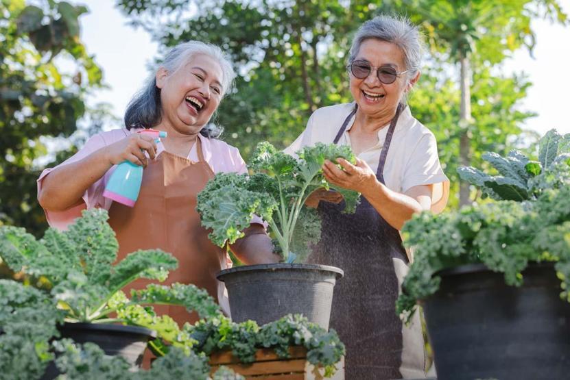 Alzheimer’a Karşı En Doğal Çözüm Nöroloji Uzmanı Açıkladı: Hastalığı Yavaşlatabilir