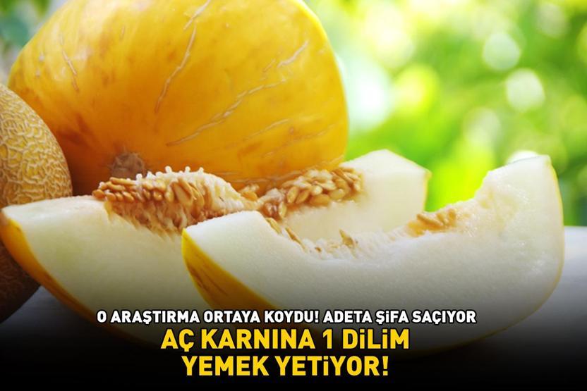 O araştırma ortaya koydu Aç karnına 1 dilim yemek yetiyor Yüksek su oranı ve potasyum içeriğiyle şifa oluyor