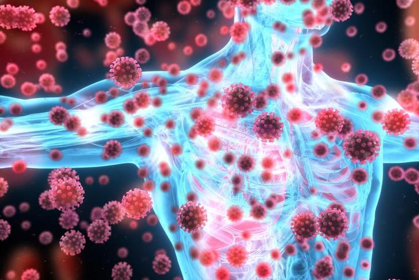 Güçlü antioksidan etkisi A, C, E ve B6 vitaminleri içeriyor Kırışıklıkları azaltıyor, kalp sağlığını koruyor