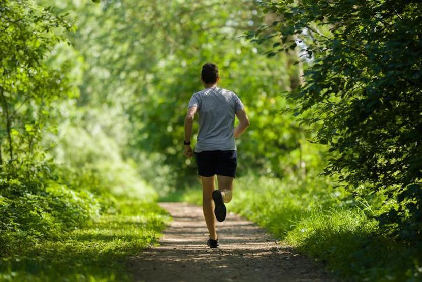 Güçlü antioksidan etkisi A, C, E ve B6 vitaminleri içeriyor Kırışıklıkları azaltıyor, kalp sağlığını koruyor