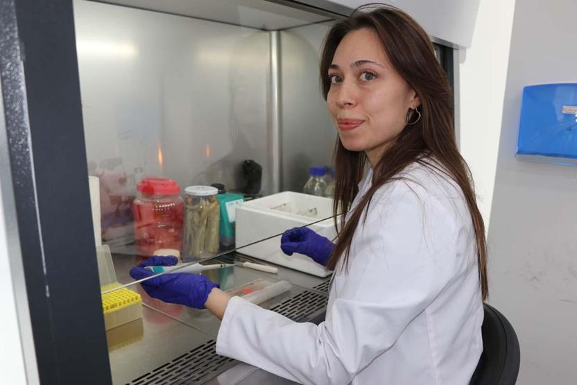 Geleneksel Turşular Bilime Konu Oldu Tarımda Pestisitlere Alternatif Olabilir