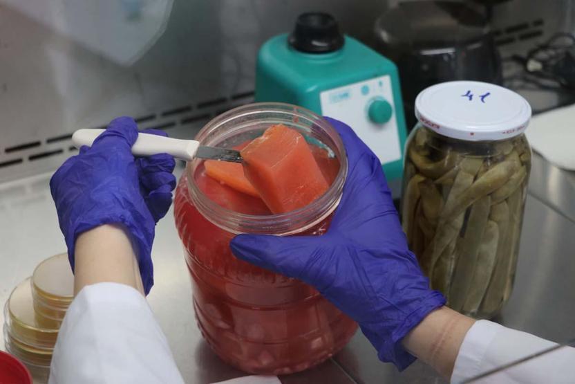 Geleneksel Turşular Bilime Konu Oldu Tarımda Pestisitlere Alternatif Olabilir