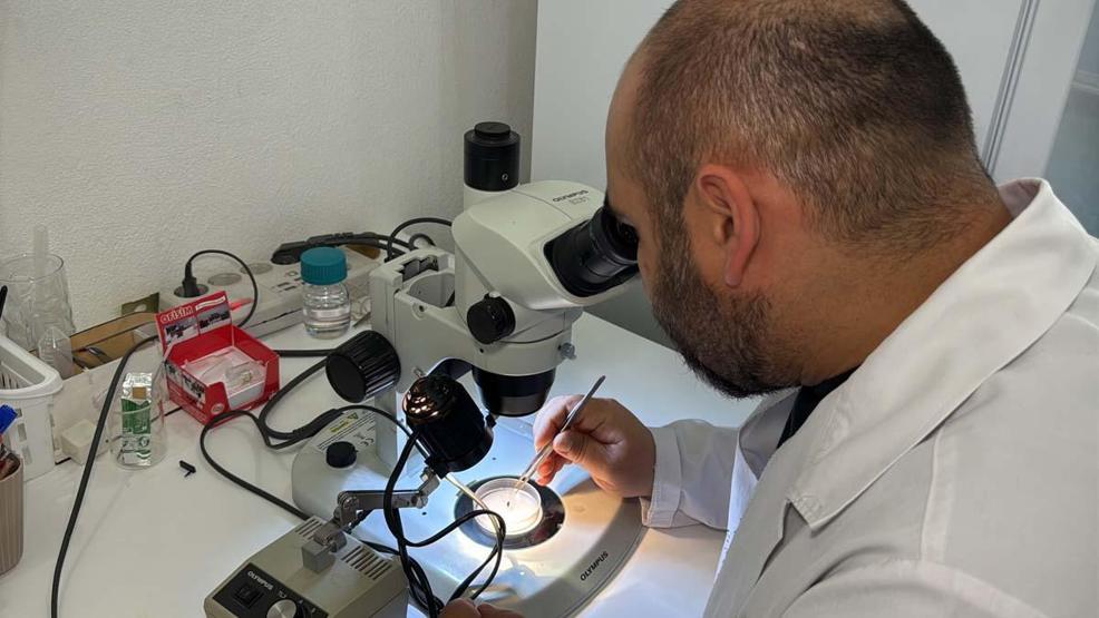 Türkiyede Son 15 Yılda 10 Farklı Kene Türü Tespit Edildi Uzmanı Artış Sebebini Açıkladı Peki İnsan Sağlığı Açısından Risk Var mı