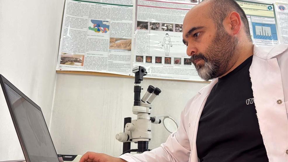 Türkiyede Son 15 Yılda 10 Farklı Kene Türü Tespit Edildi Uzmanı Artış Sebebini Açıkladı Peki İnsan Sağlığı Açısından Risk Var mı