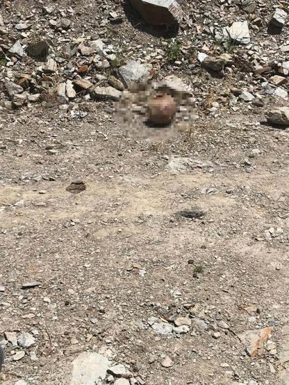 Canlı yayında itiraf: Cinayette sır perdesi aralandı