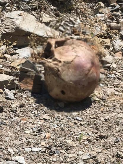 Canlı yayında itiraf: Cinayette sır perdesi aralandı