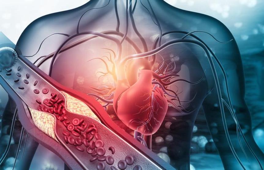 KIRMIZI ELMAS HASADI Kilosu 70-80 TL C vitamini deposu Kalp sağlığını koruyor, göz hastalıkları riskini azaltıyor