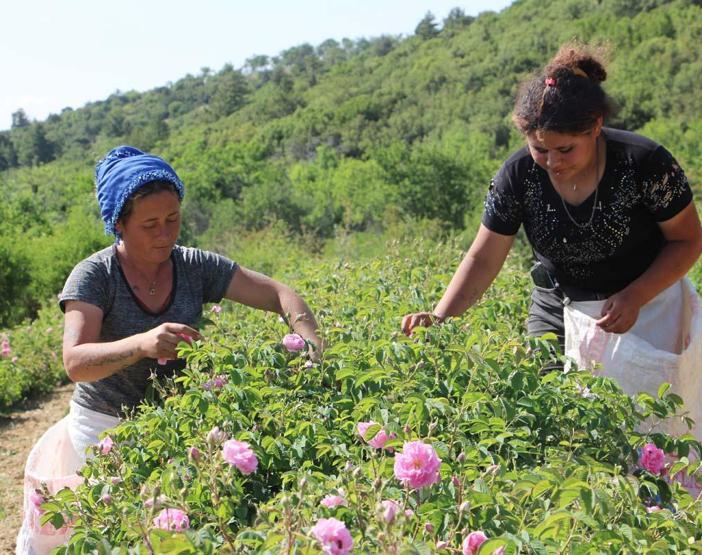 Türkiyenin Çiçek Kokulu Şehri Akın Akın Geliyorlar Tatilciler Fotoğraf Yarışına Girdi