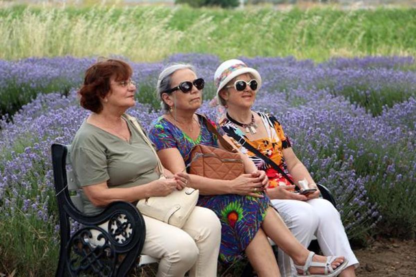 Edirne’de ‘Lavanta Tarla Günleri’ başladı