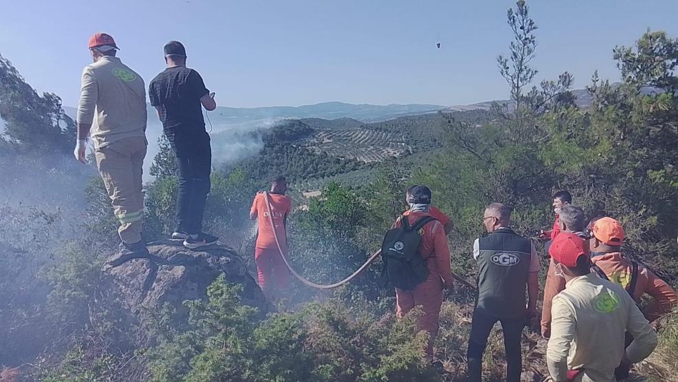 Manisada orman yangını 1 mahalle tahliye edildi