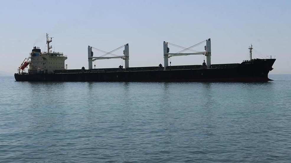 Tekirdağda kuru yük gemisi karaya oturdu