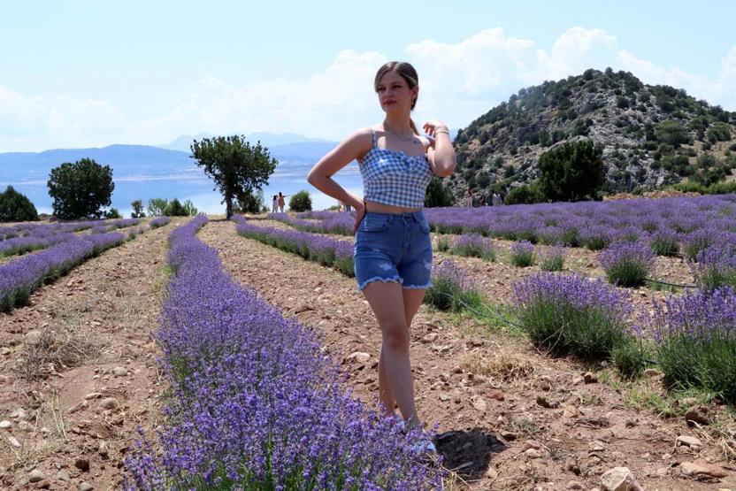 TATİL TERCİHLERİNDE YENİ TREND Deniz, Kum, Güneş Yerine TARIM TURİZMİ Lavanta, Gül, Zeytin... Festivallere Yoğun İlgi Var