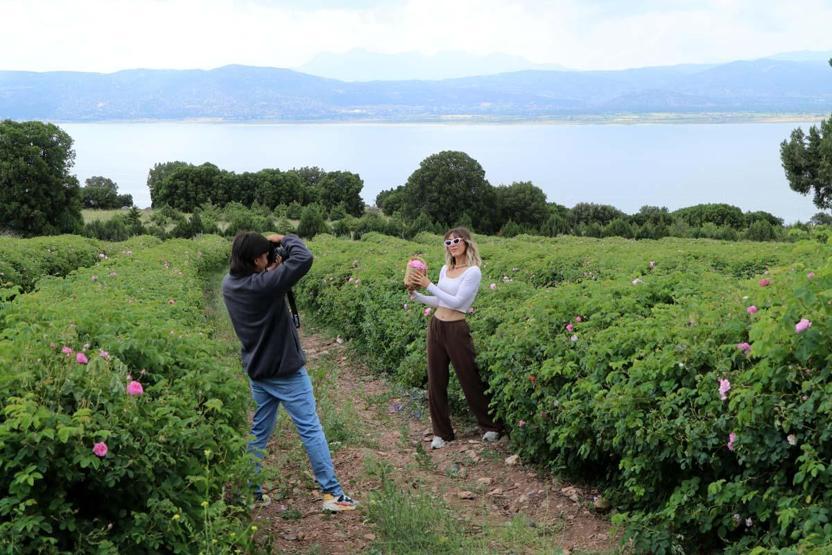 TATİL TERCİHLERİNDE YENİ TREND Deniz, Kum, Güneş Yerine TARIM TURİZMİ Lavanta, Gül, Zeytin... Festivallere Yoğun İlgi Var