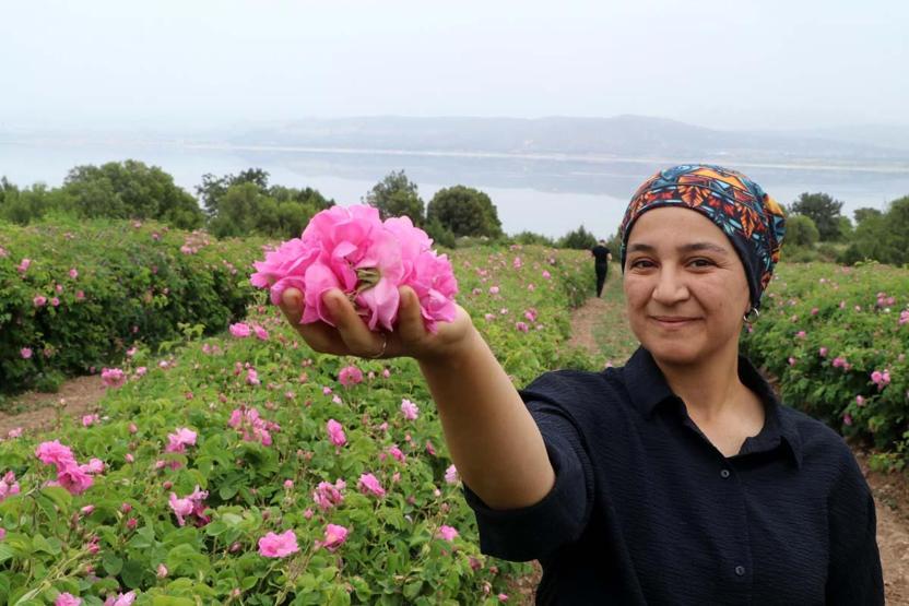 TATİL TERCİHLERİNDE YENİ TREND Deniz, Kum, Güneş Yerine TARIM TURİZMİ Lavanta, Gül, Zeytin... Festivallere Yoğun İlgi Var