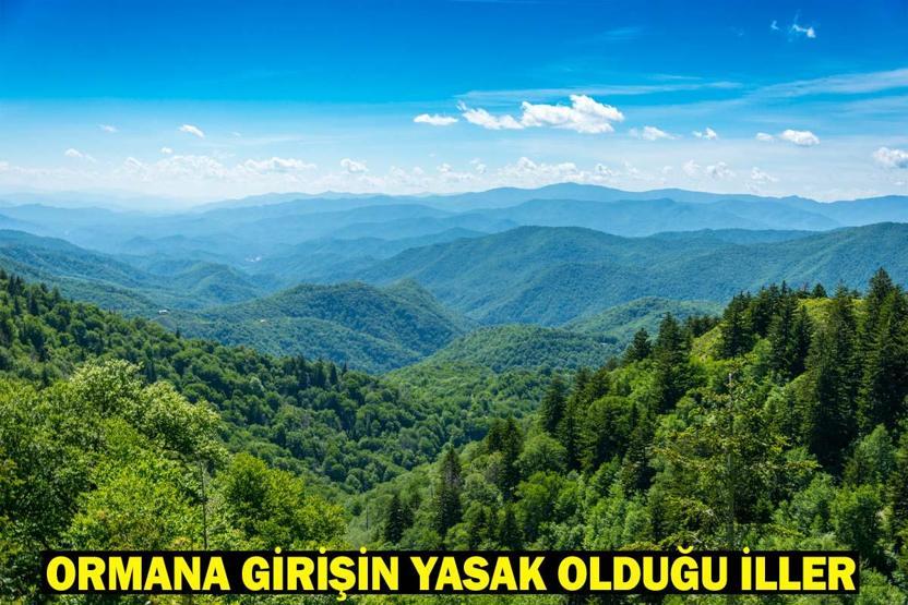ORMANA GİRİŞİN YASAK OLDUĞU İLLER LİSTESİ 2025: Hangi illerde, hangi tarihlerde ormana girmek yasak