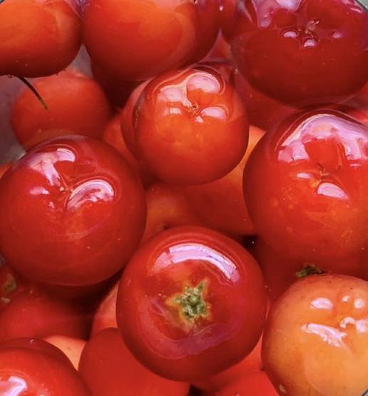 C VİTAMİNİ YÖNÜNDEN ZENGİN Dünyanın en yararlı meyve suyu: Metabolizma hızını 2 katına çıkarıyor, zayıflamaya yardımcı oluyor