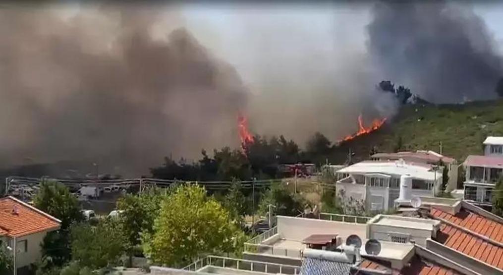 ORMAN YANGINI SON DURUM: İzmir Orman Yangını Kontrol Altına Alındı Mı Menderes, Seferihisar, Gaziemir Yangında Son Durum Ne İzmir Yangını Neden Çıktı İklim Değişikliği mi, Sabotaj mı AFAD ve İtfaiye Seferber Oldu