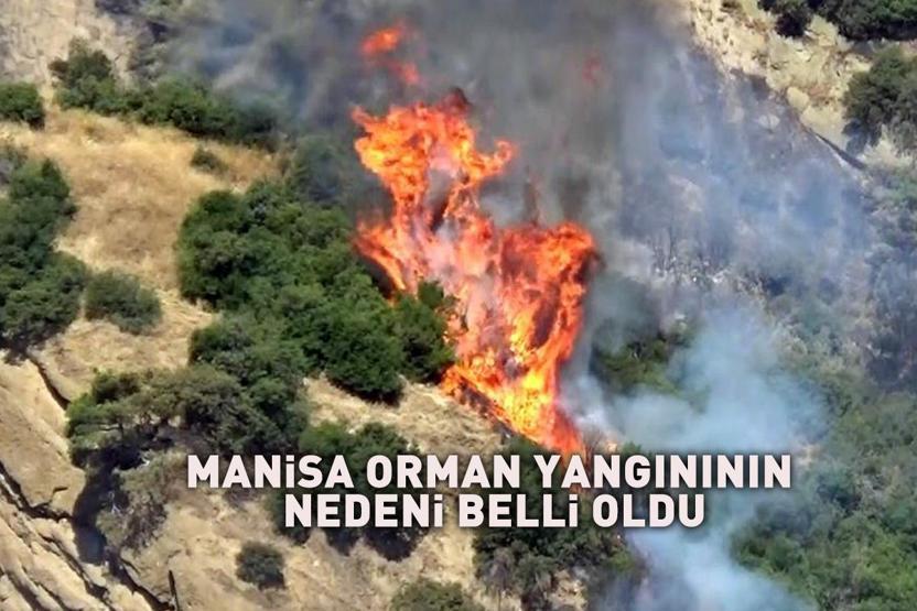 Manisadaki yangının çıkış nedeni belli oldu Pes dedirten kene detayı...