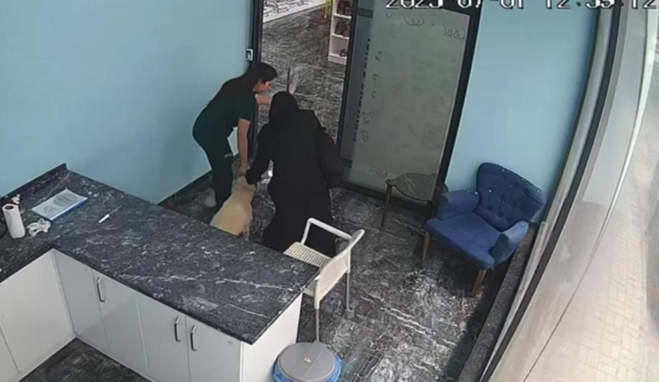 Deprem sırasında yürekleri ısıtan görüntü Tedavi ettiği köpeğin yanına koştu