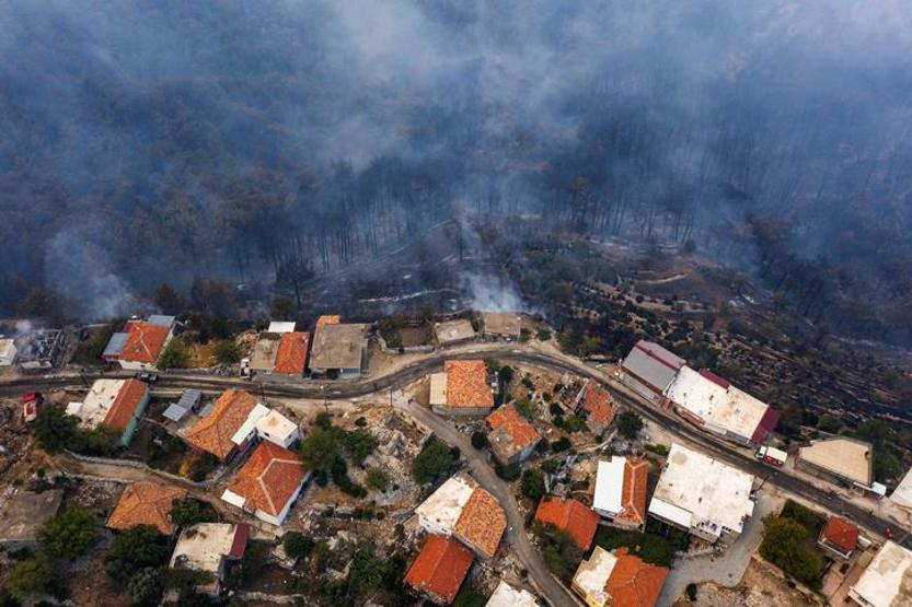 Dünyanın Akciğerleri Yanmasın Diye: Bu Kozalak Şeklindeki Cihaz, Dev Orman Yangınlarını Durduracak Bakım Bile Gerektirmiyor…