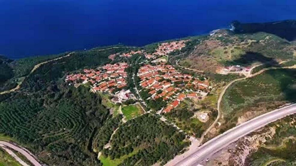 Seferihisarda gri matem: Ormanlar küle döndü Yürek parçalayan görüntüler