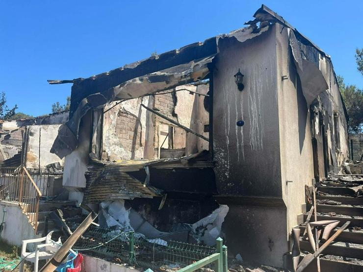 Seferihisarda gri matem: Ormanlar küle döndü Yürek parçalayan görüntüler