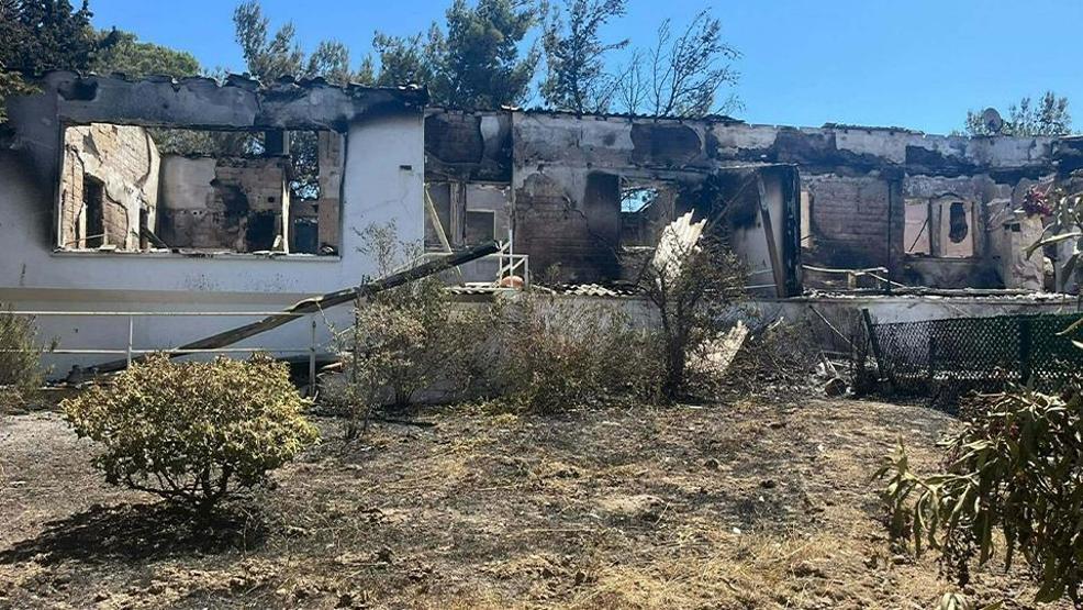 Seferihisarda gri matem: Ormanlar küle döndü Yürek parçalayan görüntüler