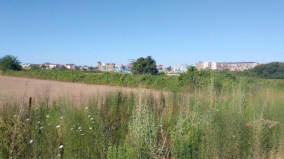 Manavgat’ta firari aslan vurularak etkisiz hale getirildi Dehşet anlarını anlattı: Bir süre boğuştuk