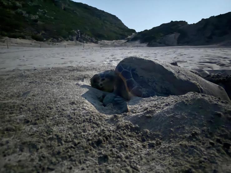 Akdenizin incisi Patara eylem planı ile korunacak: İşte belirlenen 5 hedef