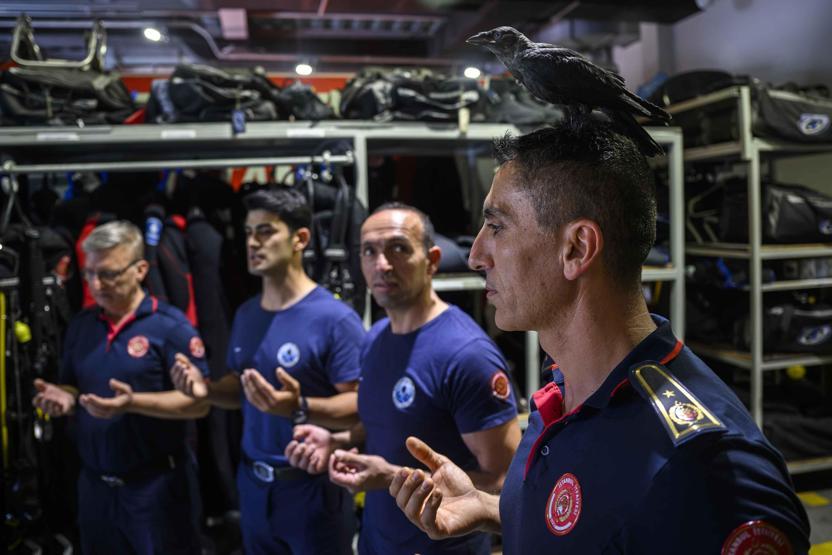 Yavruyken kurtarıldı, büyüyünce bırakmadı: İşte itfaiye ekibinin kanatlı üyesi Zeytin