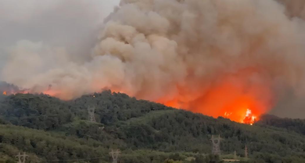 Hatay’daki orman yangınına ilişkin 1 gözaltı