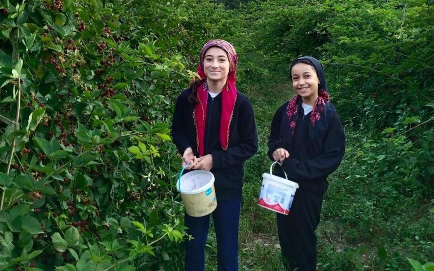 KANSER VE TÜMÖR HÜCRELERİNİN BÜYÜMESİNİ ENGELLİYOR Mucize Meyve Faydaları İle Şaşırtıyor