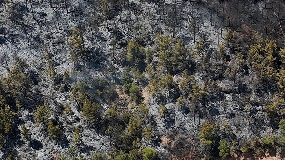 Felaketin izleri Uşaktaki orman yangını sonrası zarar gören alan dronla görüntülendi