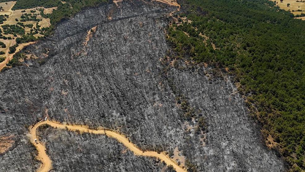 Felaketin izleri Uşaktaki orman yangını sonrası zarar gören alan dronla görüntülendi