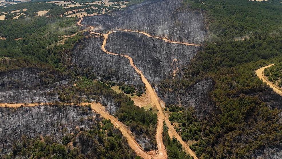 Felaketin izleri Uşaktaki orman yangını sonrası zarar gören alan dronla görüntülendi