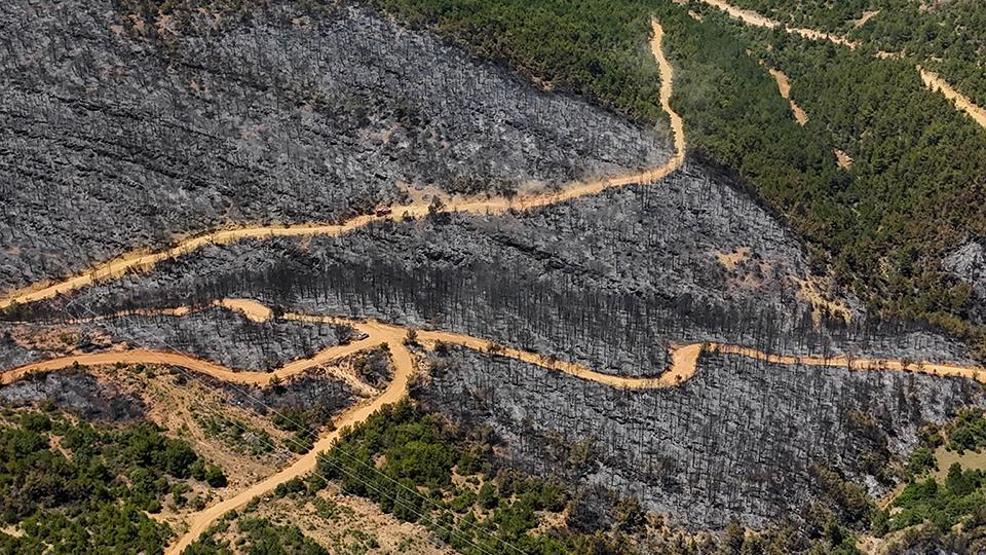 Felaketin izleri Uşaktaki orman yangını sonrası zarar gören alan dronla görüntülendi