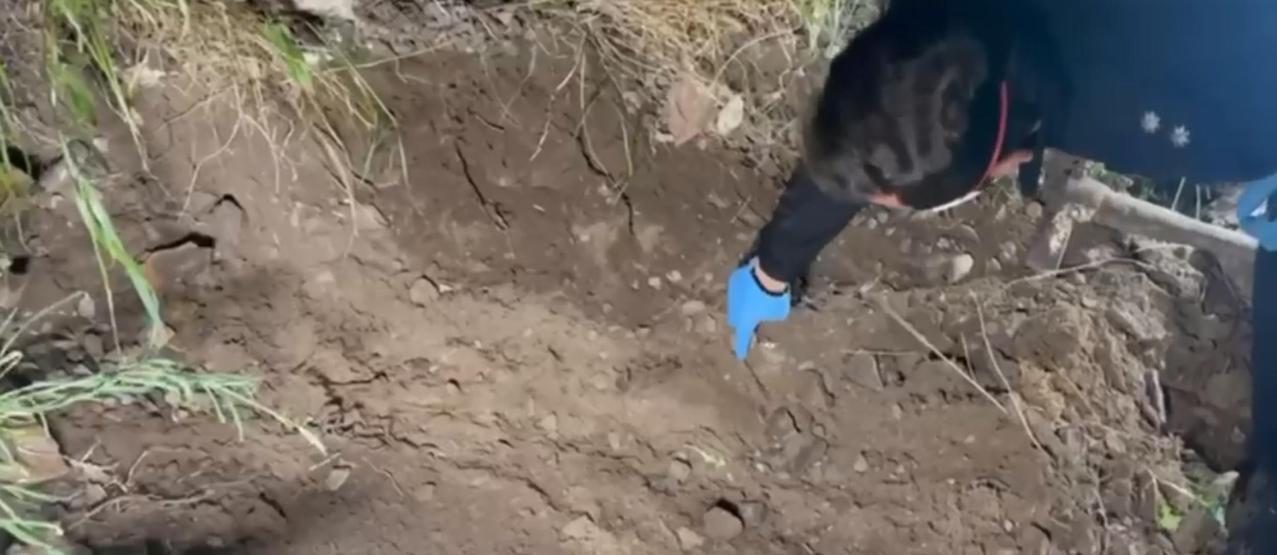 Genç kadın 6 yıl önce sırra kadem basmıştı Kemik parçaları ortaya çıktı