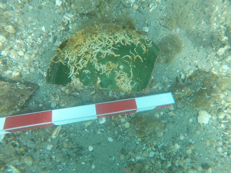 2.700 yıllık Parion Antik Kenti’nde Osmanlı sırrı: Tarihe yön verecek miras keşfedildi