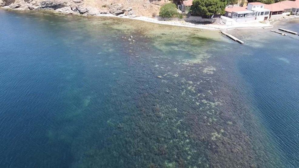 2.700 yıllık Parion Antik Kenti’nde Osmanlı sırrı: Tarihe yön verecek miras keşfedildi