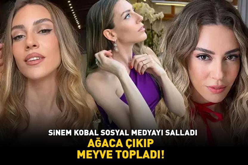 Selenanın yıldızıydı Sinem Kobal ağaca çıkıp meyve topladı