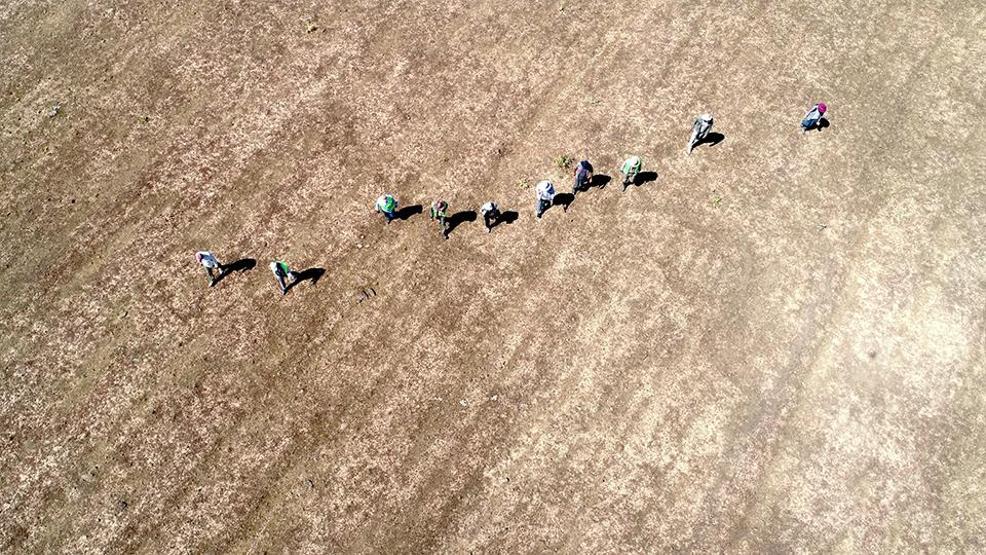 1071’in kayıp sırrı çözülüyor: Malazgirt’te zaferin izleri bulundu